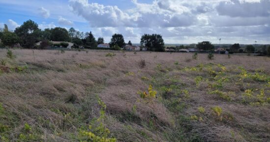 Terrain constructible Verdelais  (Gironde 33)