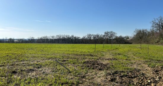 Terrain constructible Astaffort (Lot et Garonne 47)