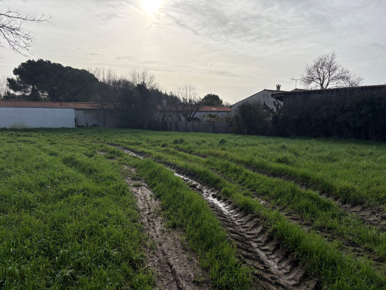 Terrain constructible Salles-sur-mer  (Charente-Maritime 17)