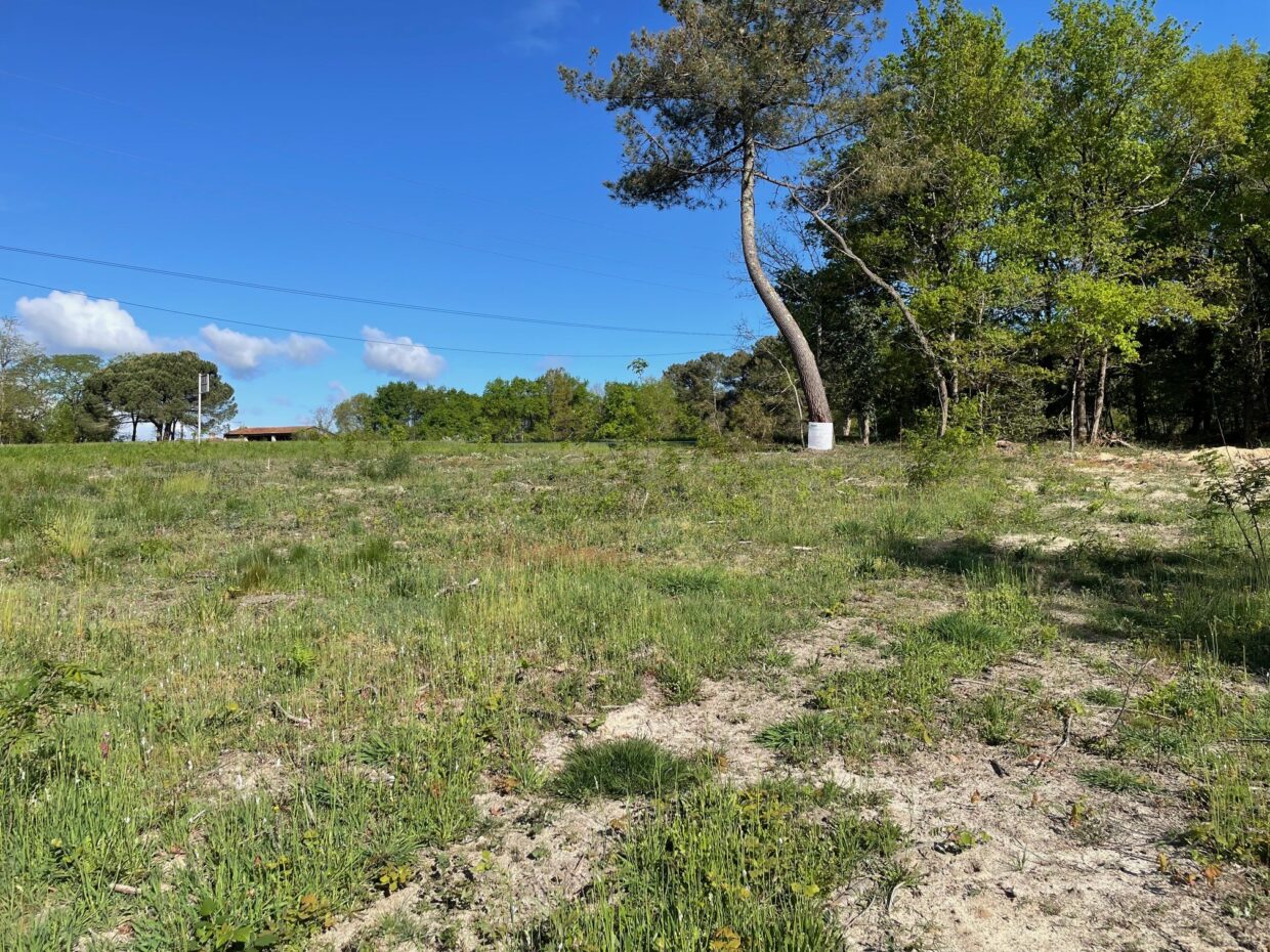 Maison avec terrain Périssac  (Gironde 33)
