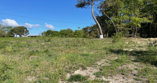 Terrain constructible Étauliers  (Gironde 33)