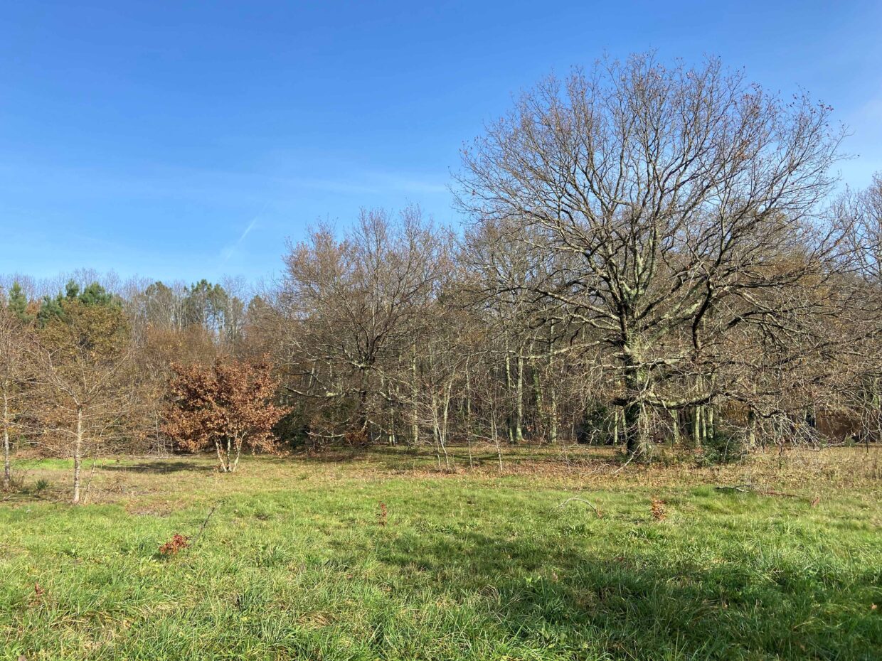 Maison avec terrain Le taillan-médoc  (Gironde 33)