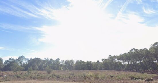 Terrain constructible Tosse  (Landes 40)