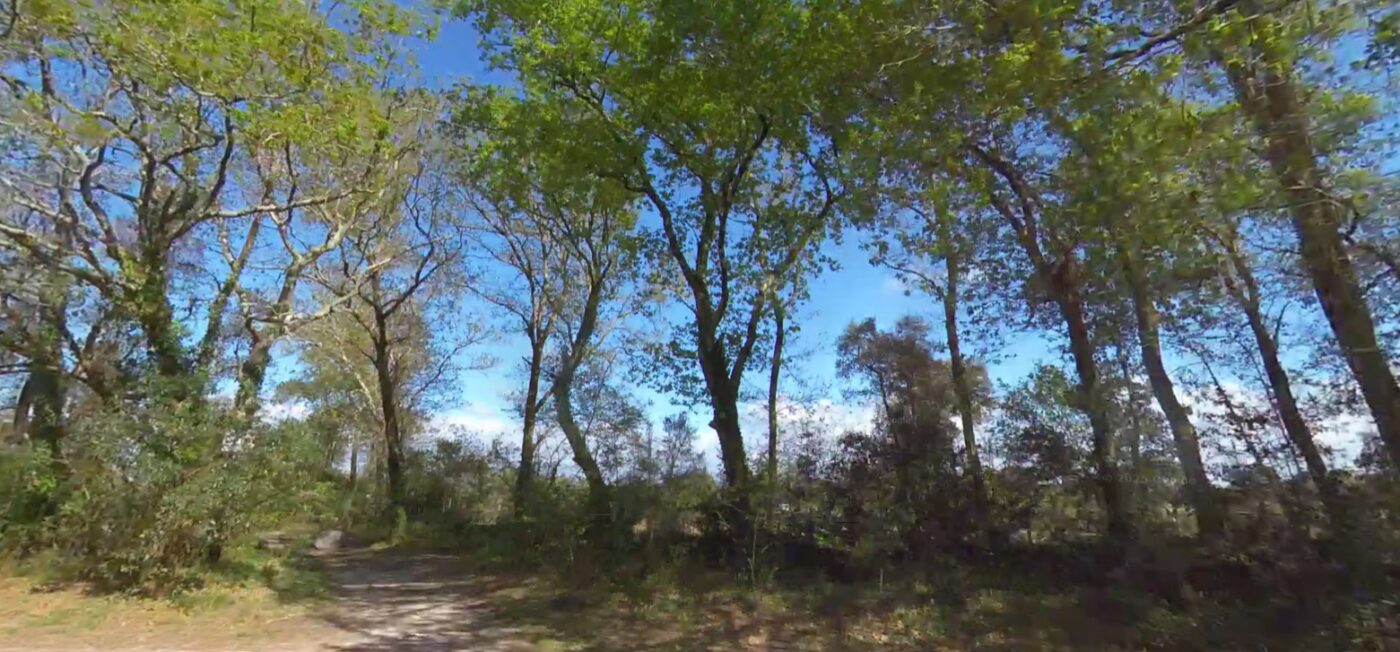 Terrain constructible Seignosse  (Landes 40)