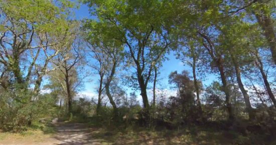 Terrain constructible Seignosse  (Landes 40)