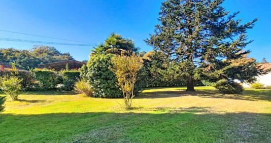 Terrain constructible Azur  (Landes 40)