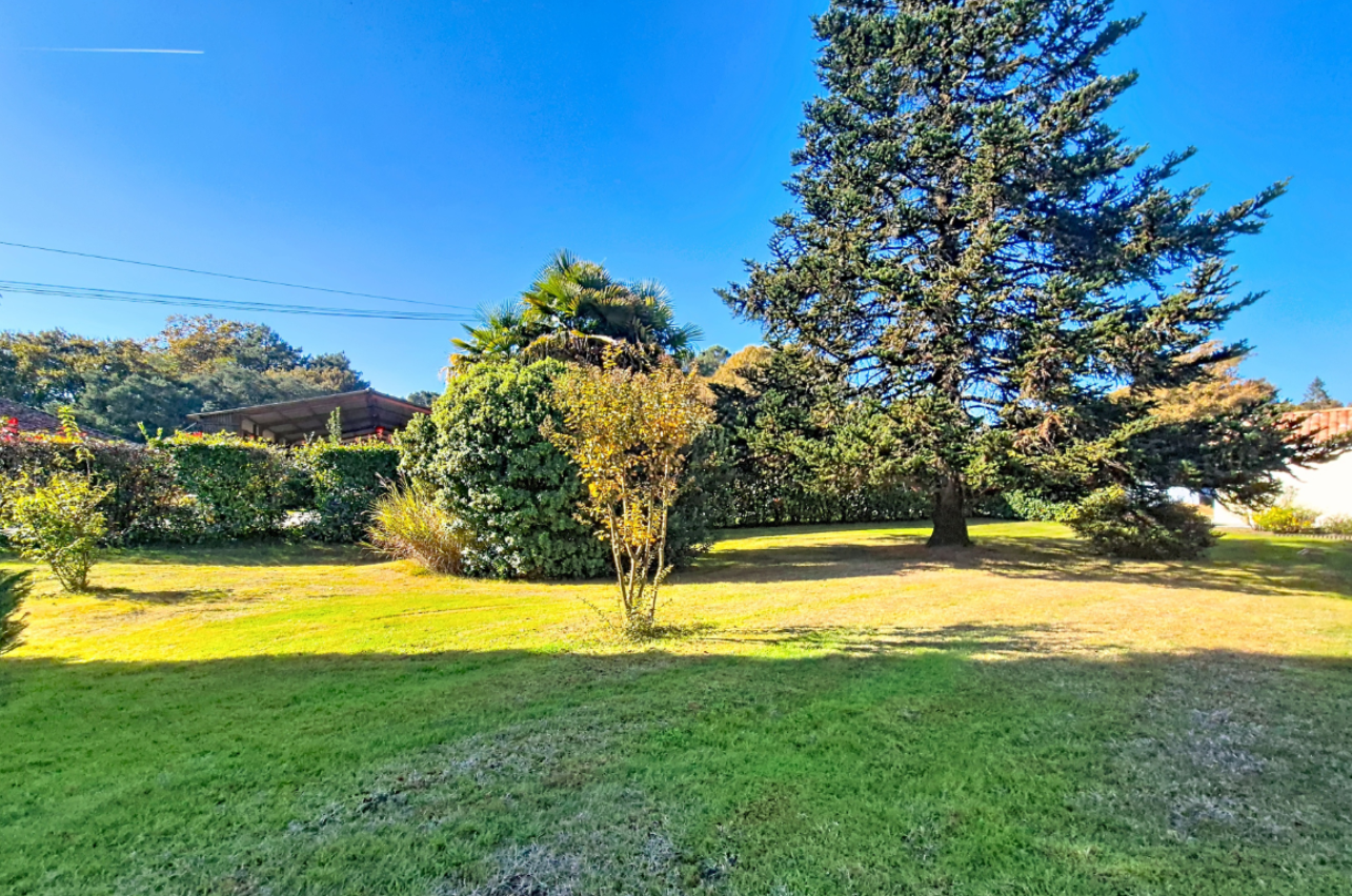 Terrain constructible Azur  (Landes 40)