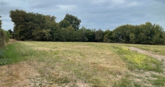 Terrain constructible Saint-félix-de-foncaude  (Gironde 33)