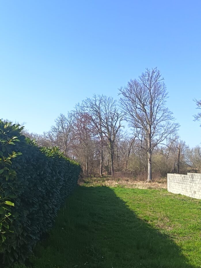 Terrain constructible Lanton  (Gironde 33)