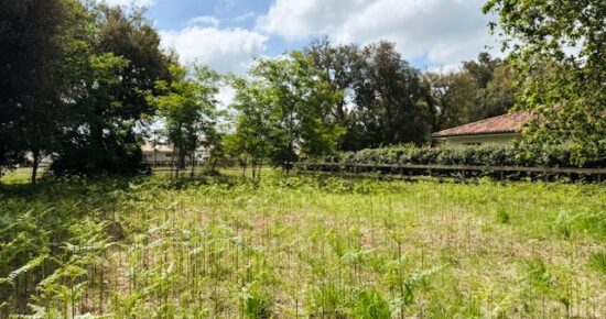 Terrain constructible Moliets-et-maa  (Landes 40)