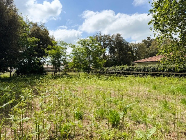 Terrain constructible Moliets-et-maa  (Landes 40)