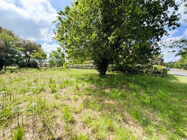 Terrain constructible Moliets-et-maa  (Landes 40)