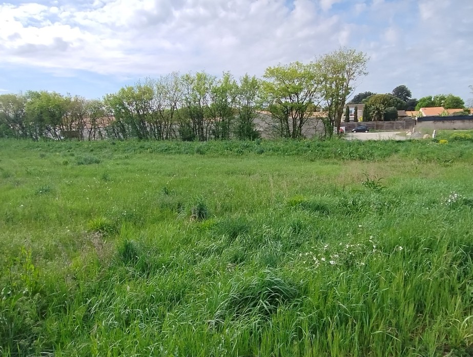 Terrain constructible Sainte-soulle  (Charente-Maritime 17)