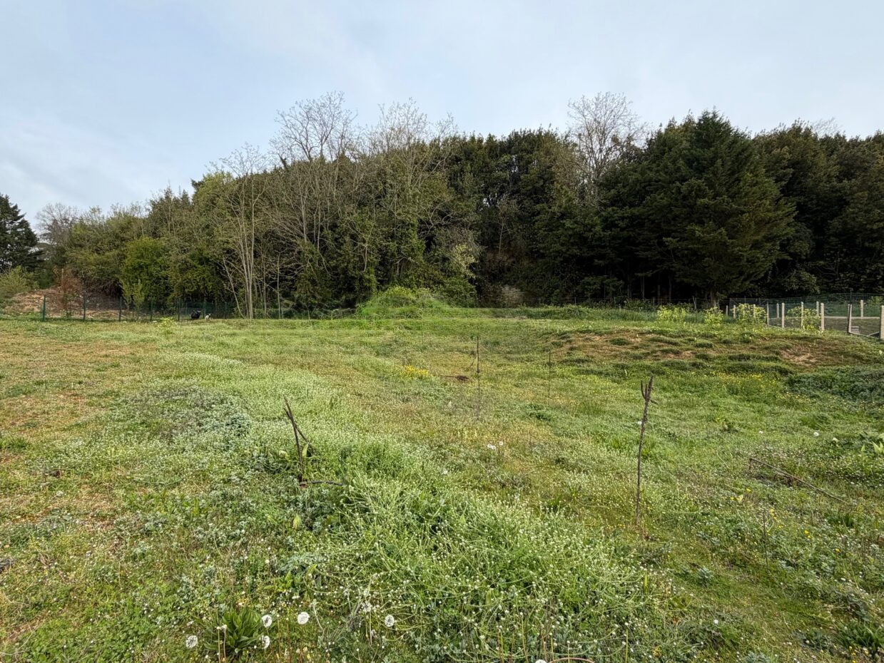 Terrain constructible Bourg  (Gironde 33)