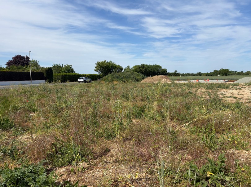Terrain constructible Saint-jean-de-liversay  (Charente-Maritime 17)