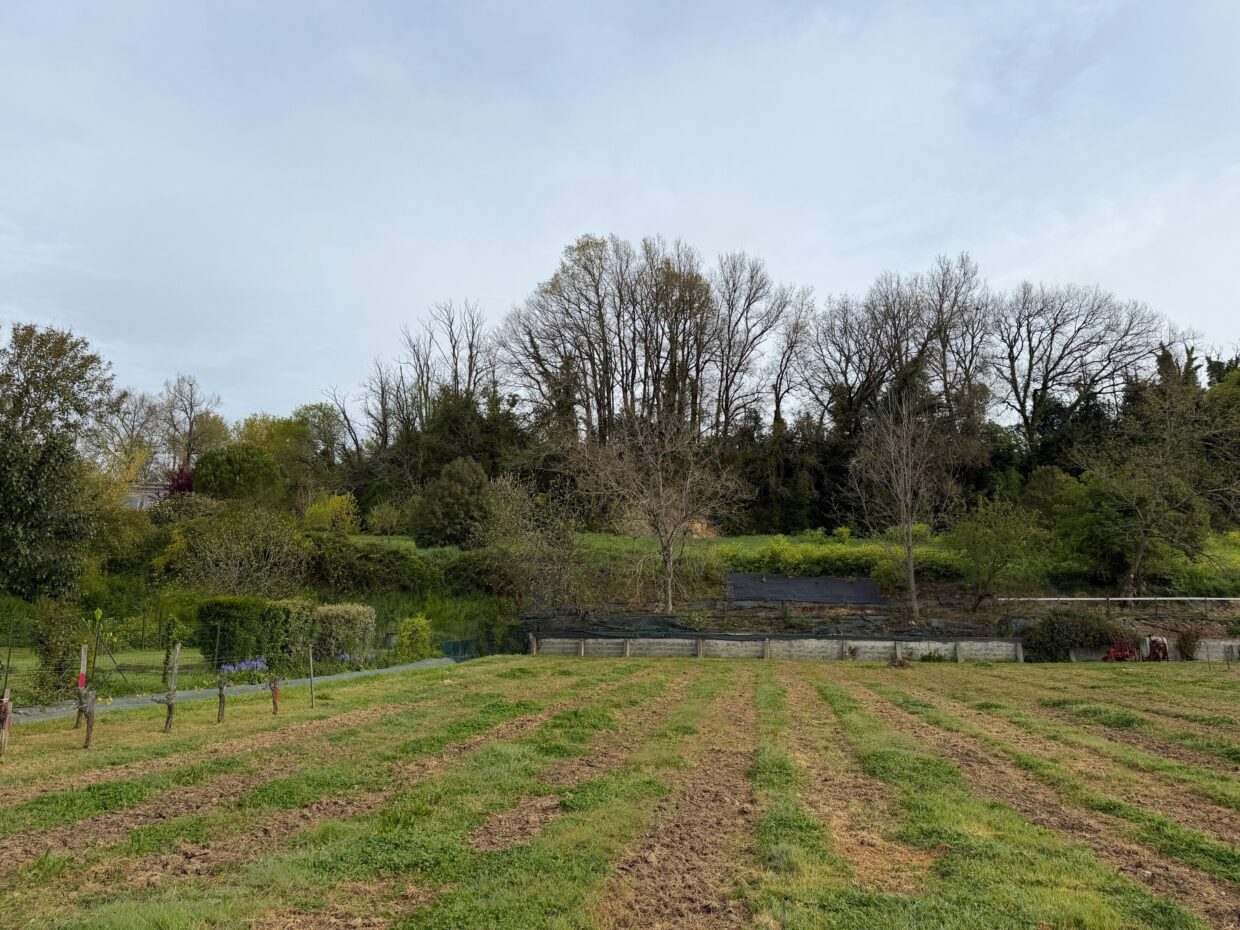 Terrain constructible Bourg  (Gironde 33)