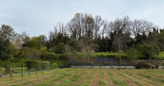 Terrain constructible Bourg (Gironde 33)