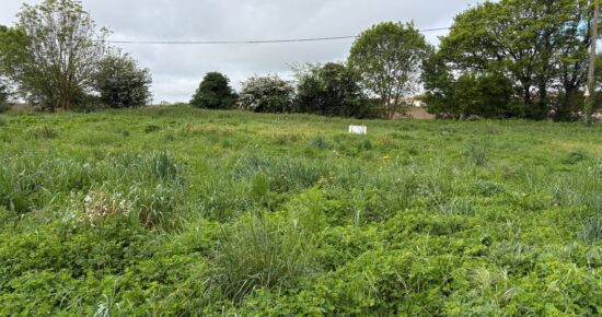 Terrain constructible Angliers  (Charente-Maritime 17)