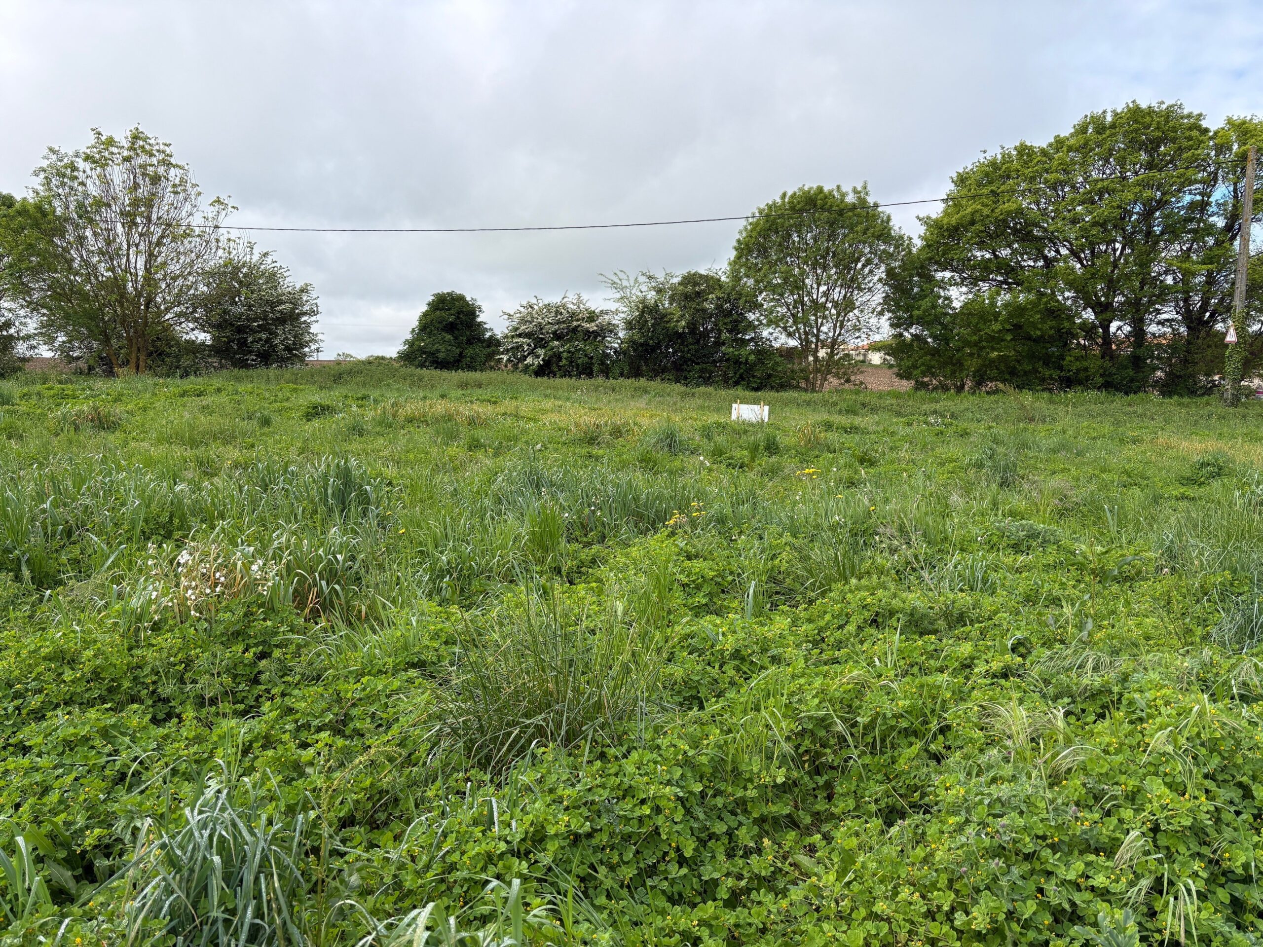 Terrain constructible Angliers  (Charente-Maritime 17)