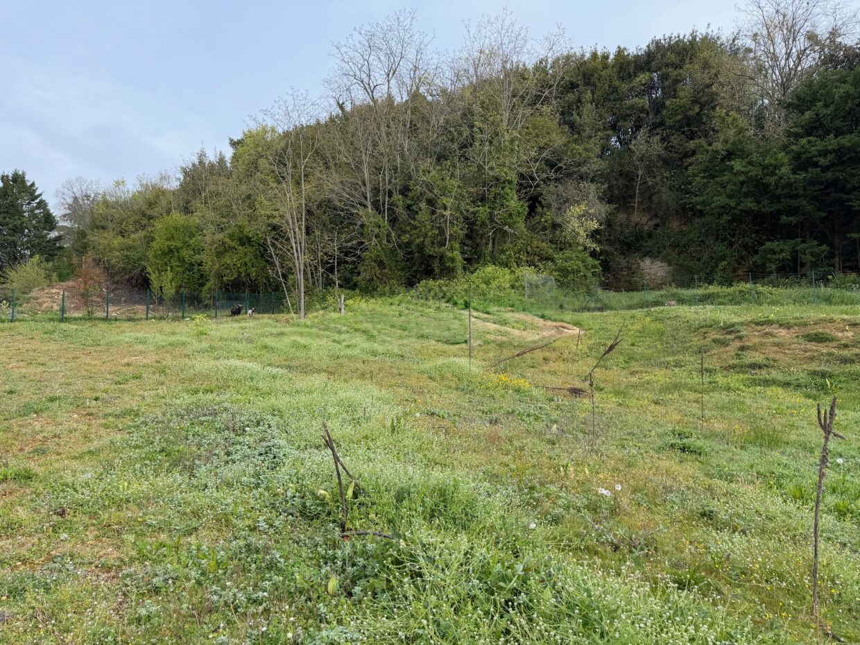 Terrain constructible Bourg  (Gironde 33)