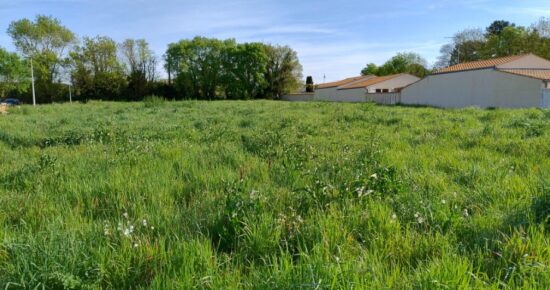 Terrain constructible Salles-sur-mer  (Charente-Maritime 17)