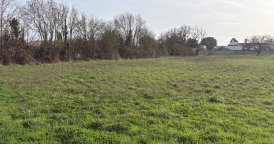 Terrain constructible Saint-rogatien  (Charente-Maritime 17)