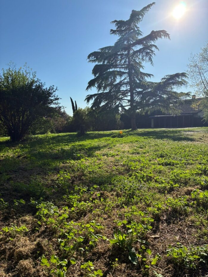 Terrain constructible Saint-caprais-de-bordeaux  (Gironde 33)