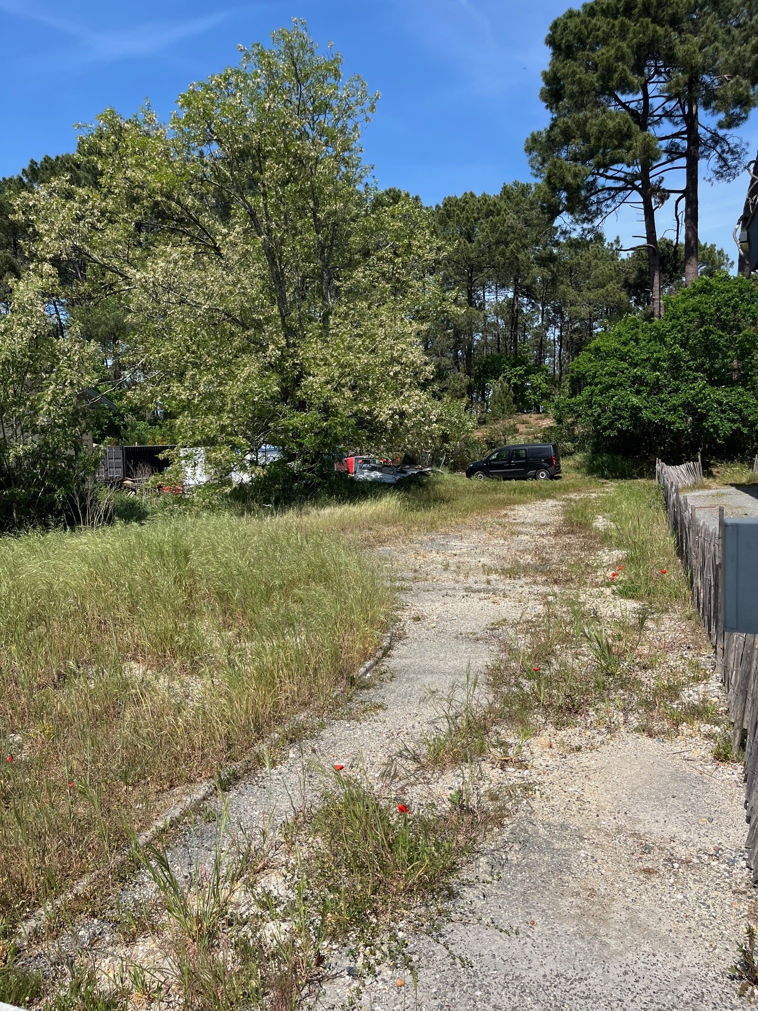 Terrain constructible Lacanau  (Gironde 33)