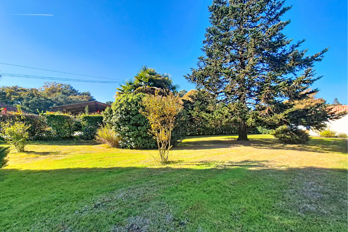 Terrain constructible Azur  (Landes 40)