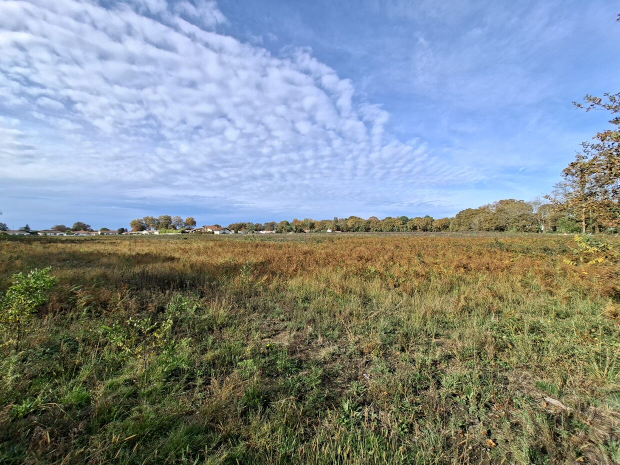 Maison avec terrain Dax  (Landes 40)