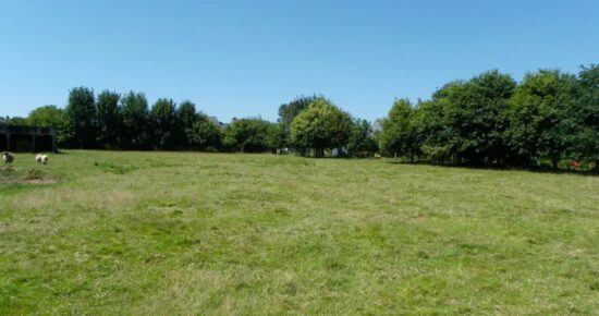 Terrain constructible Moulis-en-médoc  (Gironde 33)