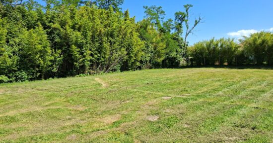 Maison avec terrain Bénesse-maremne  (Landes 40)