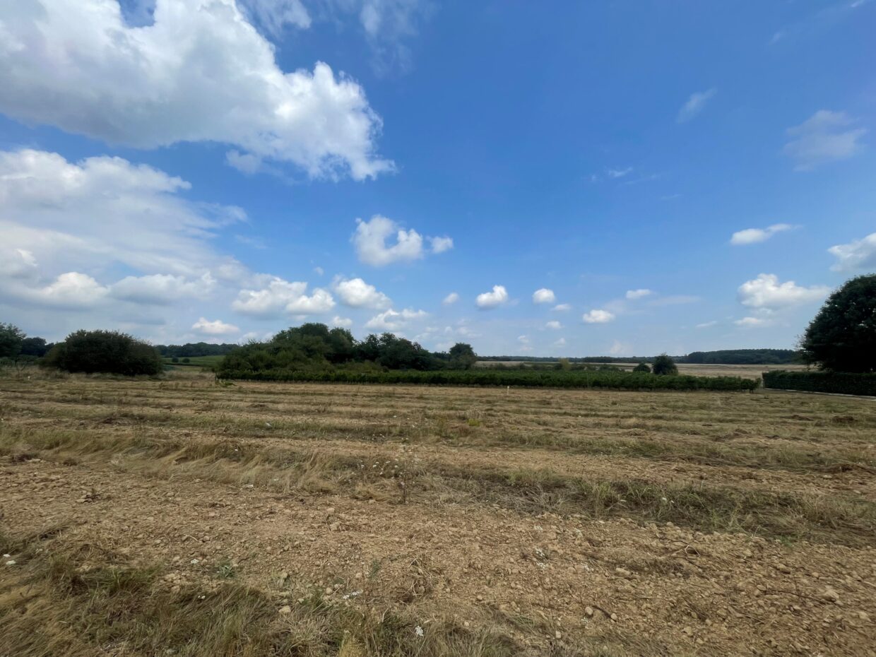 Terrain constructible Gauriaguet  (Gironde 33)