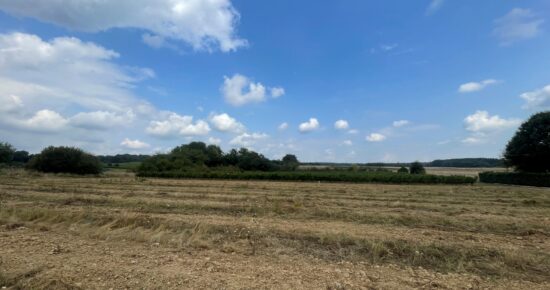 Terrain constructible Gauriaguet  (Gironde 33)