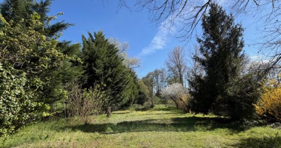 Terrain constructible Peujard  (Gironde 33)