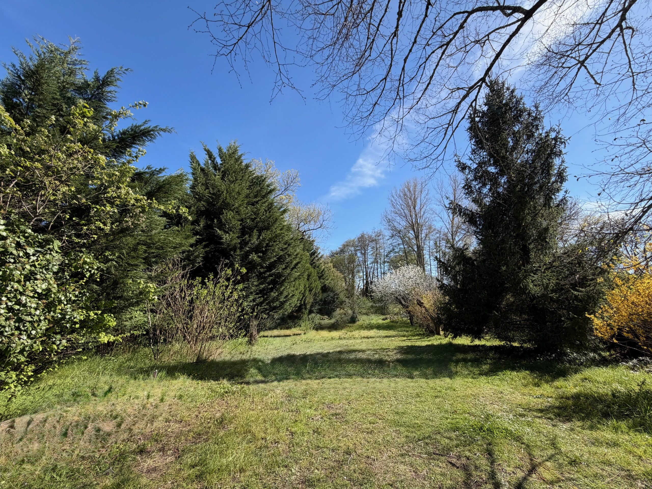 Terrain constructible Peujard  (Gironde 33)