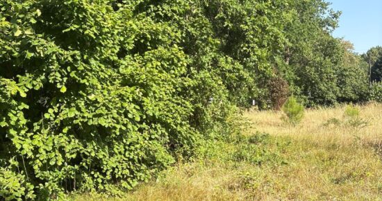 Terrain constructible Gradignan  (Gironde 33)