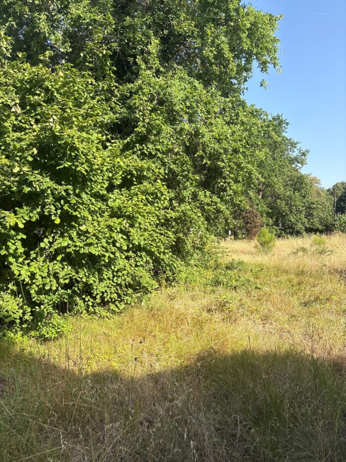 Terrain constructible Gradignan  (Gironde 33)