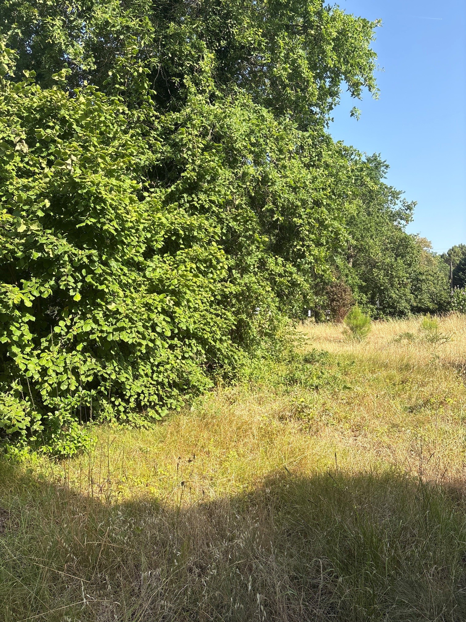 Terrain constructible Gradignan  (Gironde 33)