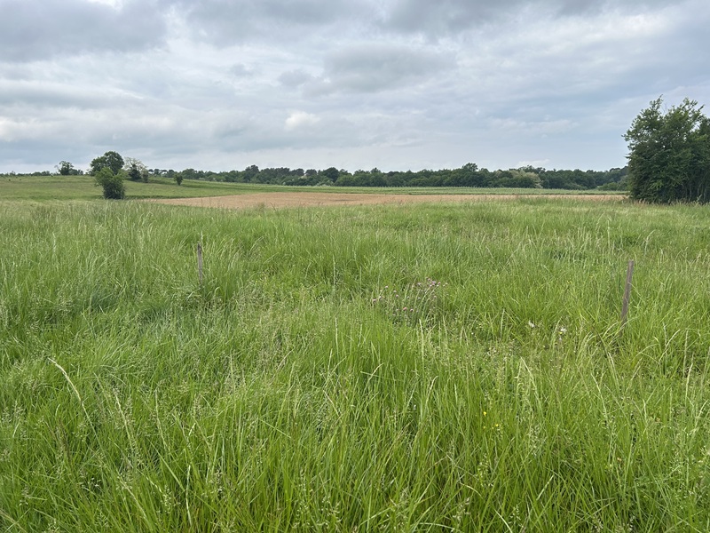 Terrain constructible Baigneaux  (Gironde 33)