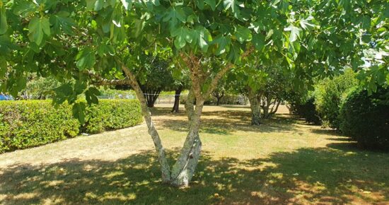 Terrain constructible Fargues-saint-hilaire (Gironde 33)