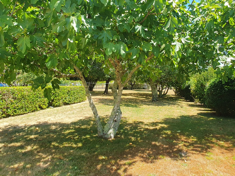 Terrain constructible Fargues-saint-hilaire  (Gironde 33)