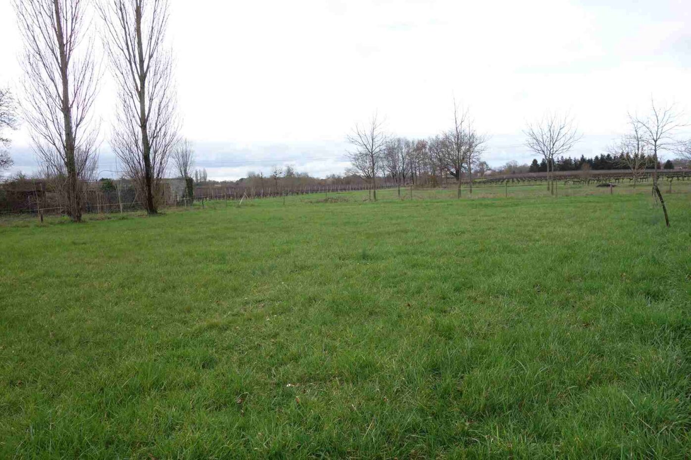 Terrain constructible Campugnan (Gironde 33)