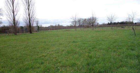 Terrain constructible Campugnan (Gironde 33)