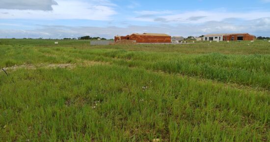 Terrain constructible L'houmeau (Charente-Maritime 17)