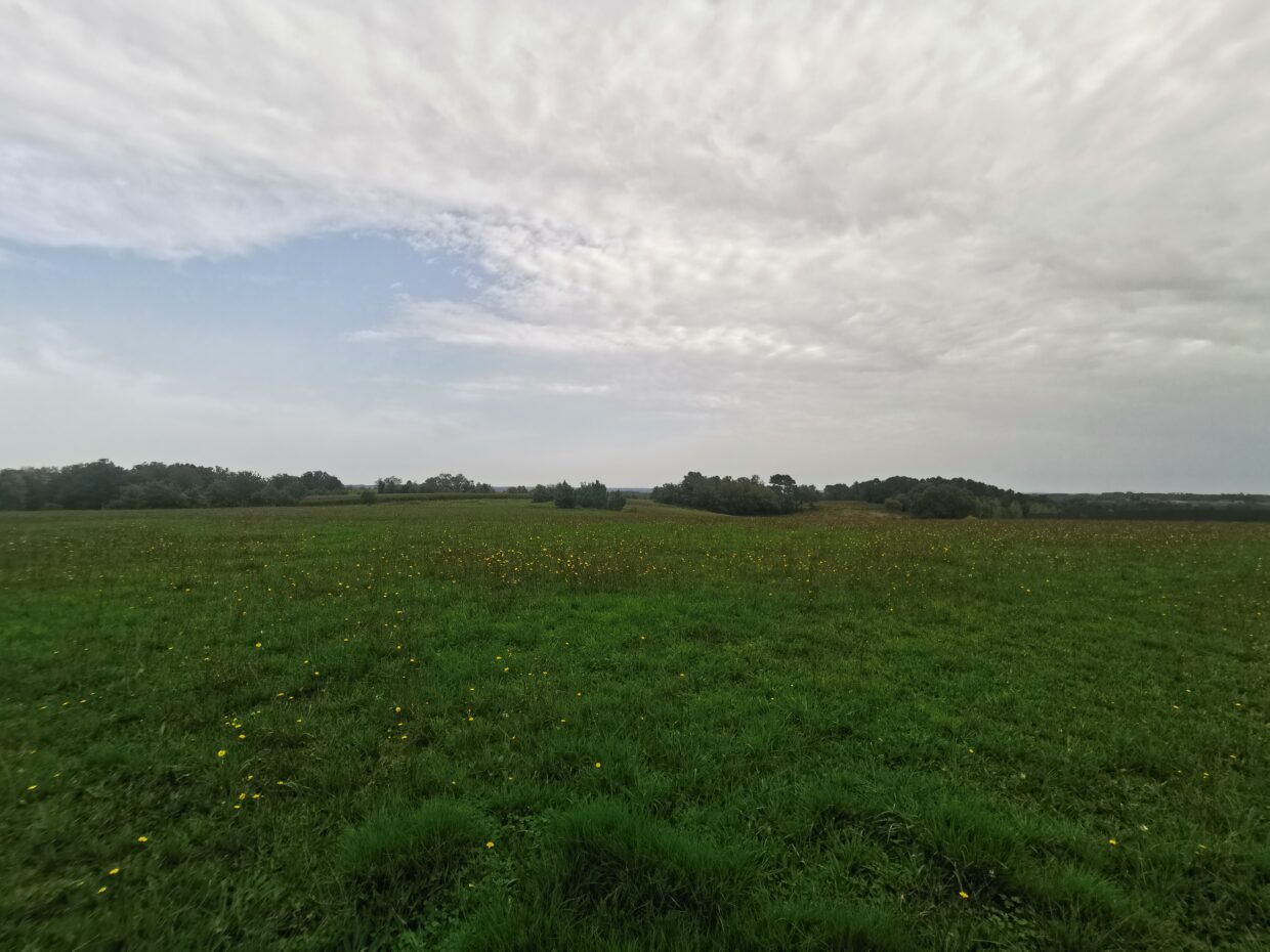 Terrain constructible Saint-aigulin (Charente-Maritime 17)