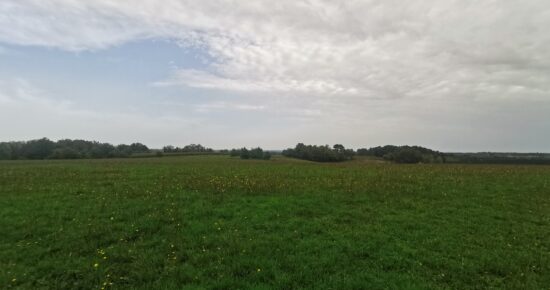 Terrain constructible Saint-aigulin (Charente-Maritime 17)