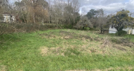 Terrain constructible Berson (Gironde 33)