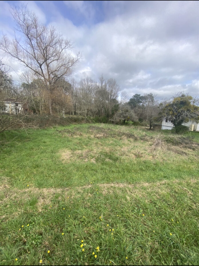 Terrain constructible Berson (Gironde 33)