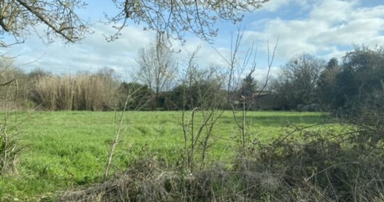 Terrain constructible Campugnan (Gironde 33)